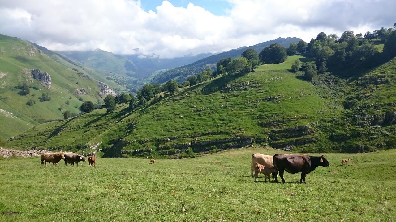 Cabanas Con Encanto San Roque de Ríomiera Eksteriør bilde